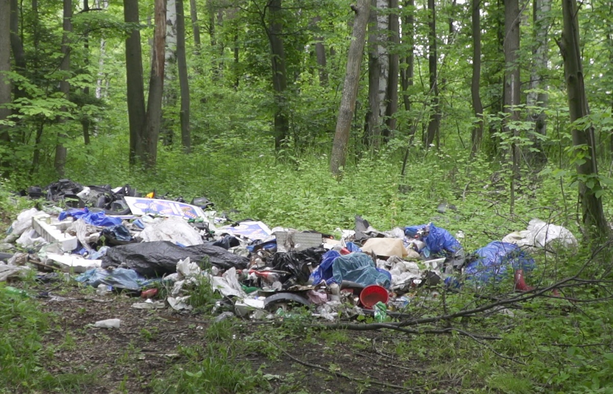utylizacja nielegalnie śmieci odpadów w lesie